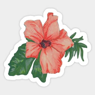 Tropical Pink Flower - Marker Illustration Sticker